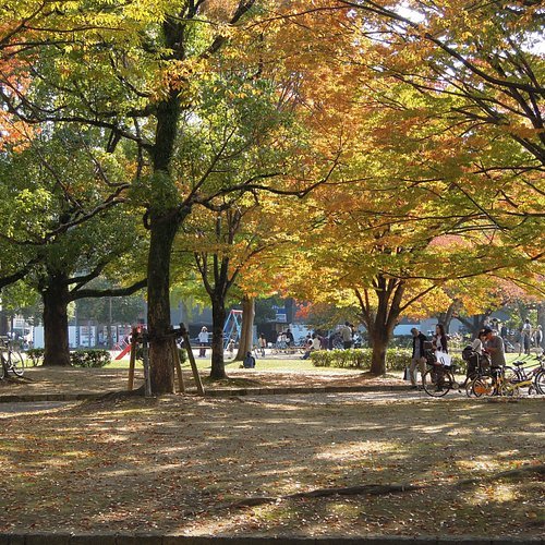 🌳 오테마에 공원 (오테마에 코엔) 이미지 5